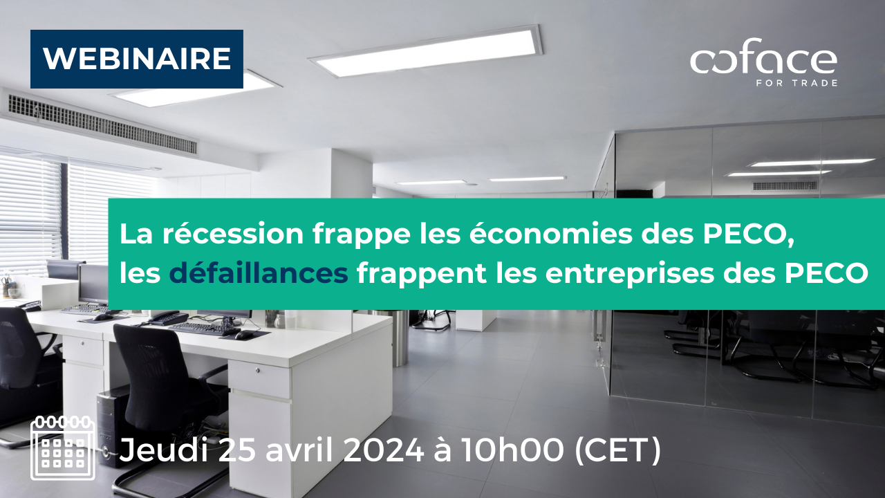 Webinaire : "La récession frappe les économies des PECO, les défaillances frappent les entreprises des PECO" le jeudi 25 avril 2024 à 10h00 (CET).